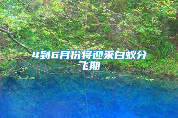 4到6月份將迎來(lái)白蟻分飛期