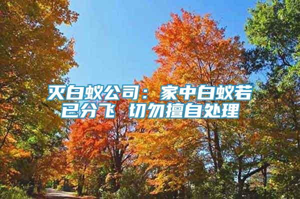 滅白蟻公司：家中白蟻若已分飛 切勿擅自處理
