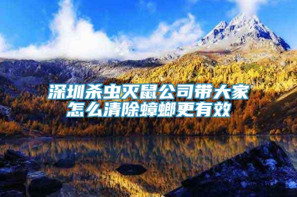 深圳殺蟲滅鼠公司帶大家怎么清除蟑螂更有效