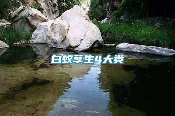 白蟻孳生4大類