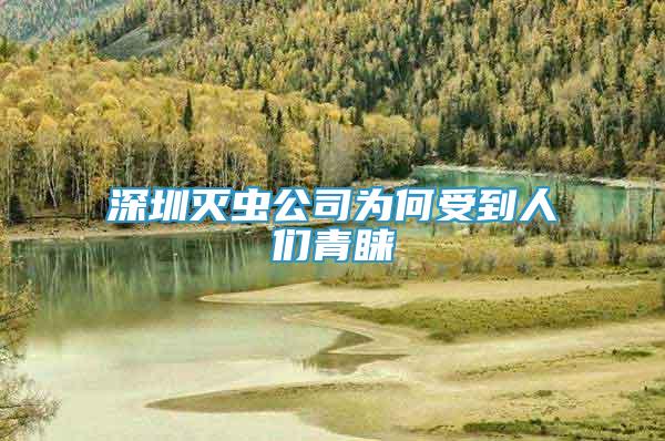 深圳滅蟲公司為何受到人們青睞