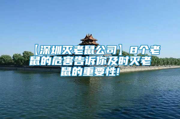 【深圳滅老鼠公司】8個老鼠的危害告訴你及時滅老鼠的重要性!