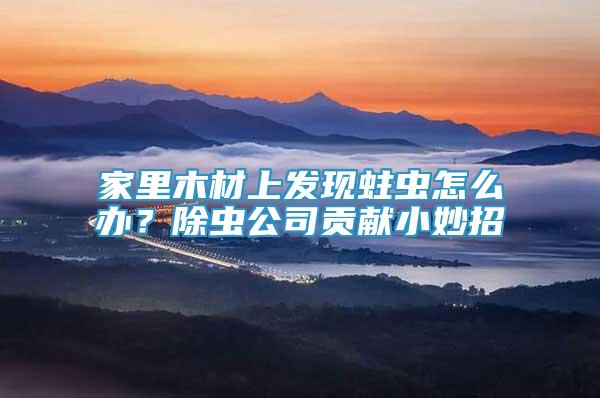 家里木材上發(fā)現(xiàn)蛀蟲怎么辦？除蟲公司貢獻小妙招