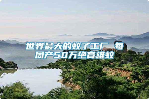 世界最大的蚊子工廠 每周產(chǎn)50萬(wàn)絕育雄蚊