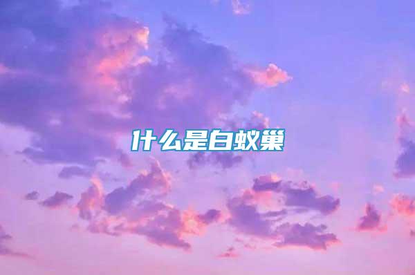 什么是白蟻巢