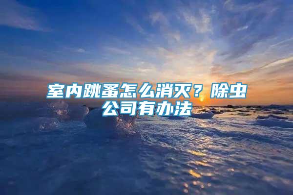 室內(nèi)跳蚤怎么消滅？除蟲公司有辦法