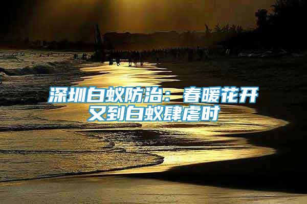 深圳白蟻防治：春暖花開又到白蟻肆虐時