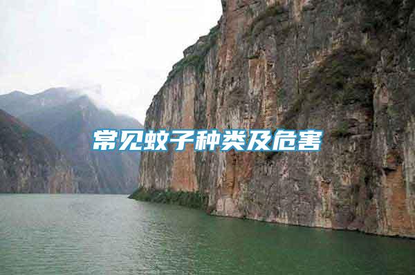 常見蚊子種類及危害