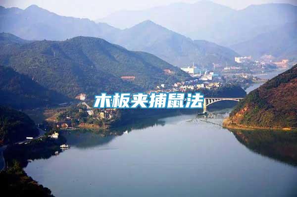 木板夾捕鼠法
