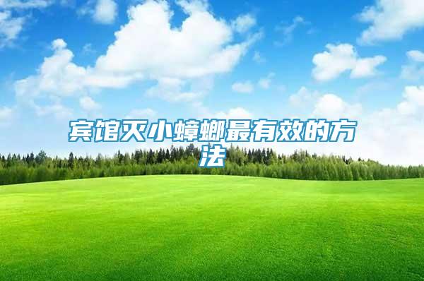 賓館滅小蟑螂最有效的方法