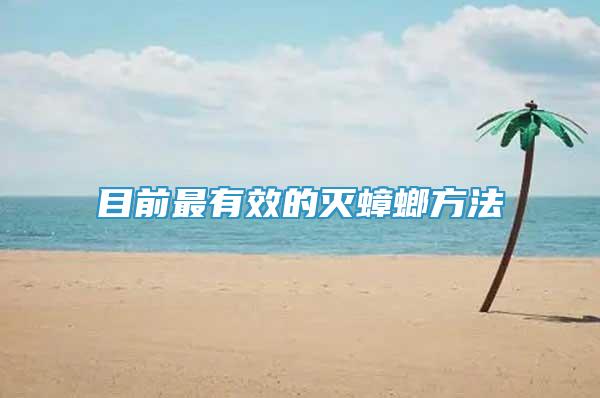 目前最有效的滅蟑螂方法