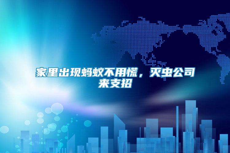 家里出現(xiàn)螞蟻不用慌，滅蟲公司來支招