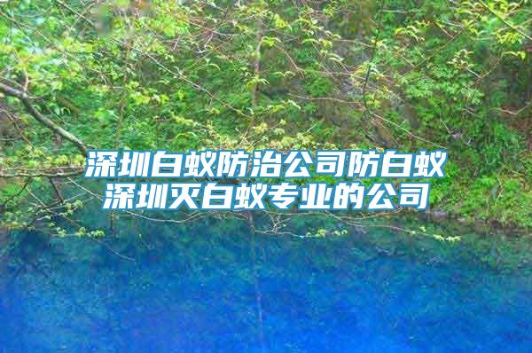 深圳白蟻防治公司防白蟻深圳滅白蟻專業(yè)的公司