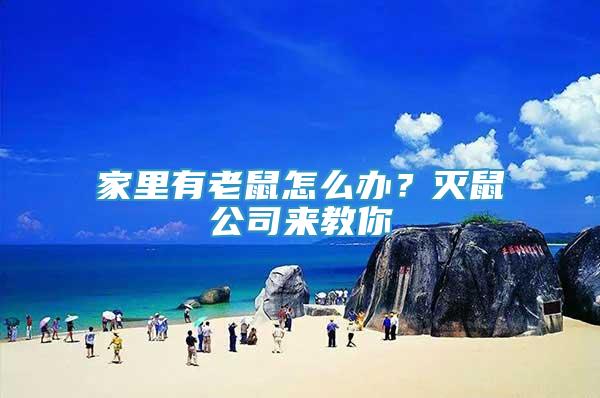 家里有老鼠怎么辦？滅鼠公司來(lái)教你