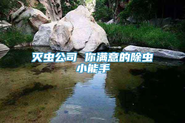 滅蟲公司 你滿意的除蟲小能手