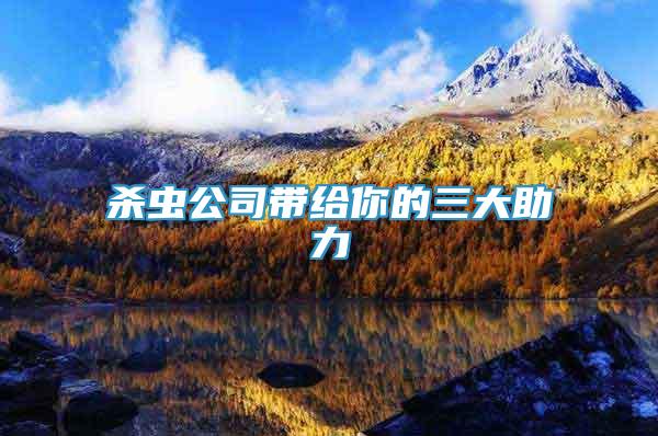 殺蟲公司帶給你的三大助力