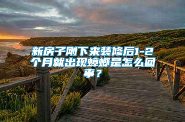 新房子剛下來裝修后1-2個(gè)月就出現(xiàn)蟑螂是怎么回事？