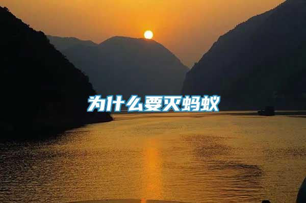 為什么要滅螞蟻