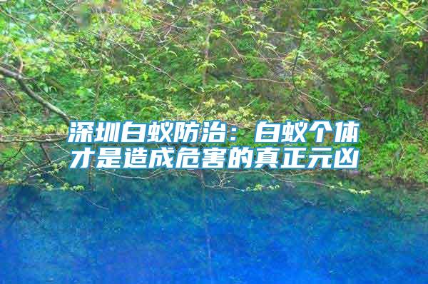 深圳白蟻防治：白蟻個(gè)體才是造成危害的真正元兇