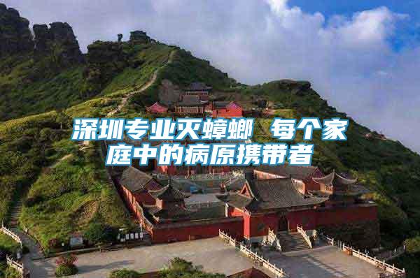 深圳專業(yè)滅蟑螂 每個家庭中的病原攜帶者