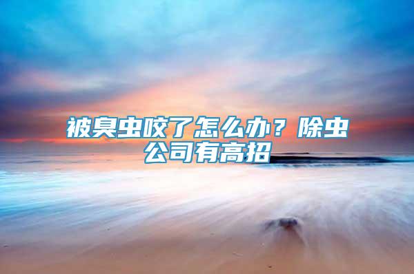 被臭蟲咬了怎么辦？除蟲公司有高招