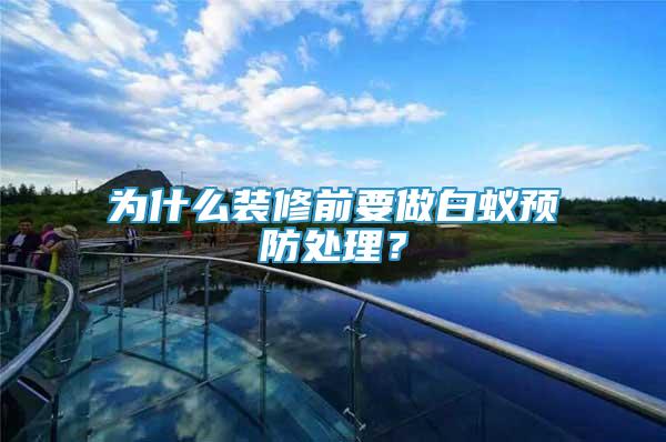 為什么裝修前要做白蟻預防處理？