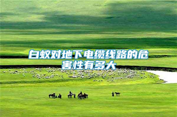 白蟻對地下電纜線路的危害性有多大