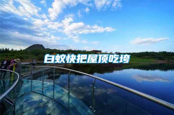 白蟻快把屋頂吃垮