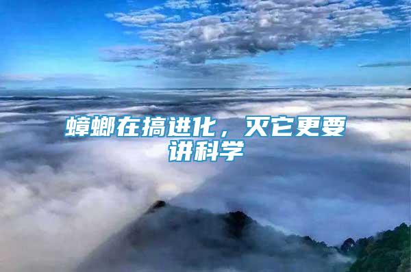 蟑螂在搞進化，滅它更要講科學
