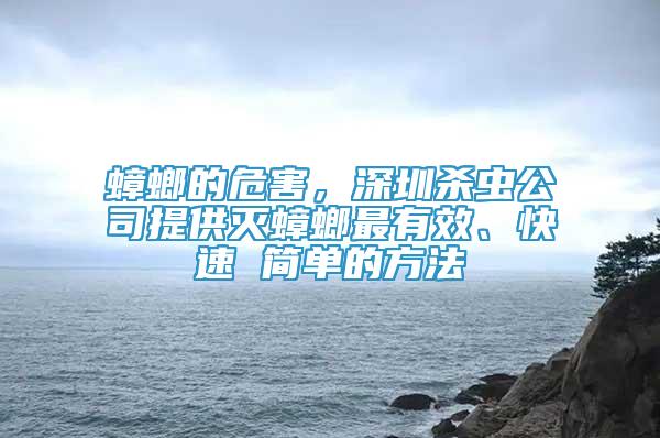 蟑螂的危害，深圳殺蟲公司提供滅蟑螂最有效、快速 簡單的方法