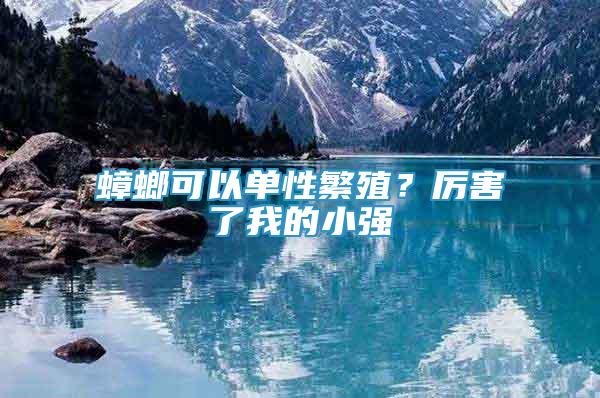 蟑螂可以單性繁殖？厲害了我的小強(qiáng)