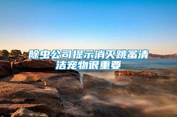 除蟲公司提示消滅跳蚤清潔寵物很重要