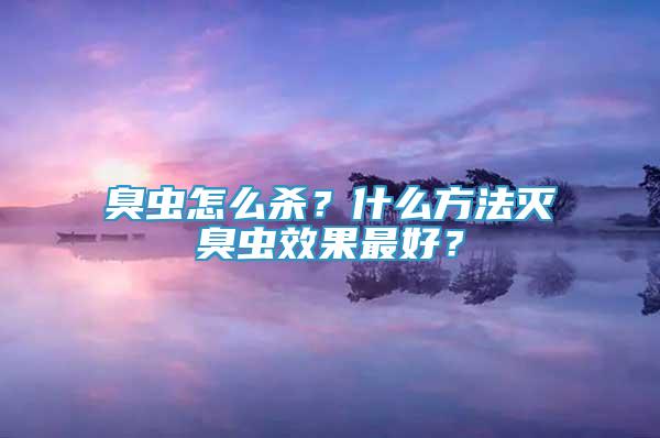 臭蟲怎么殺？什么方法滅臭蟲效果最好？