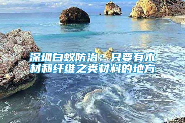 深圳白蟻防治：只要有木材和纖維之類材料的地方