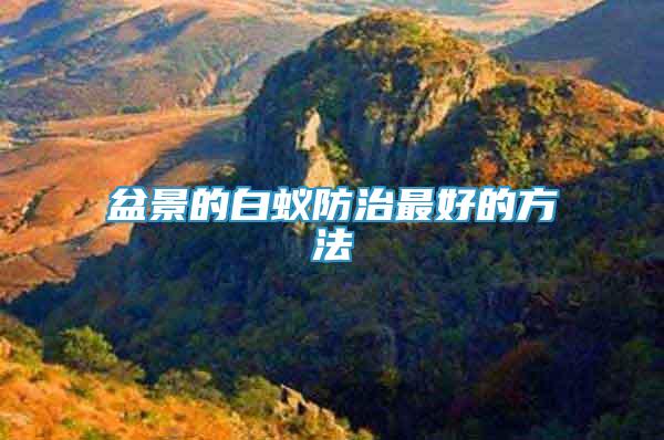 盆景的白蟻防治最好的方法