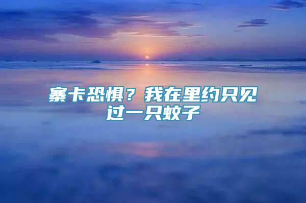 寨卡恐懼？我在里約只見過一只蚊子