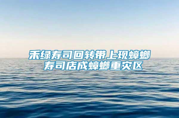 禾綠壽司回轉(zhuǎn)帶上現(xiàn)蟑螂 壽司店成蟑螂重災(zāi)區(qū)