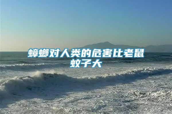 蟑螂對(duì)人類的危害比老鼠蚊子大