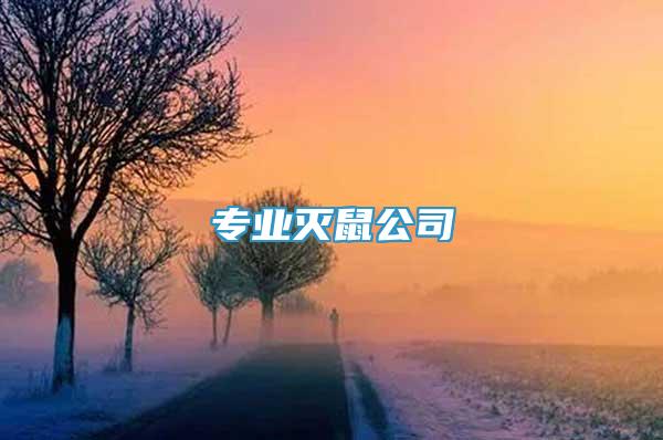 專業(yè)滅鼠公司