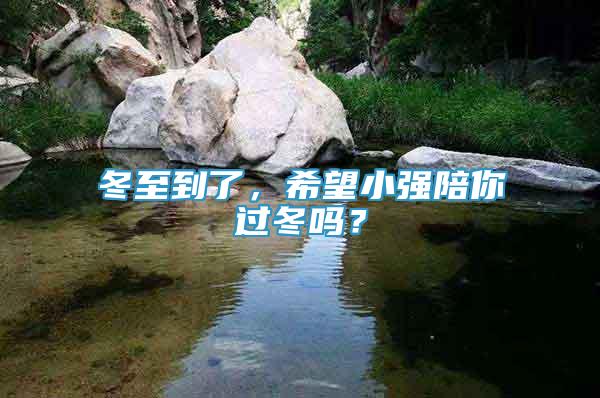 冬至到了，希望小強(qiáng)陪你過冬嗎？
