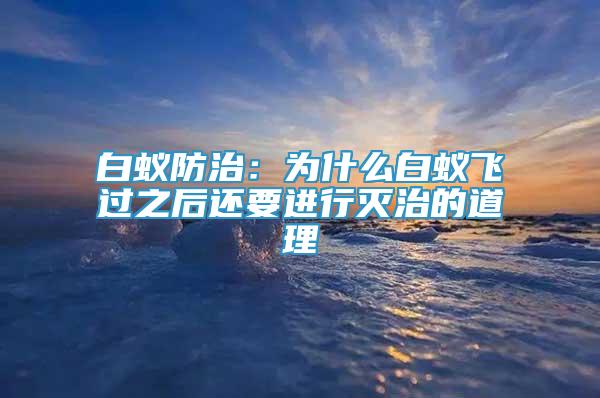 白蟻防治：為什么白蟻飛過之后還要進行滅治的道理
