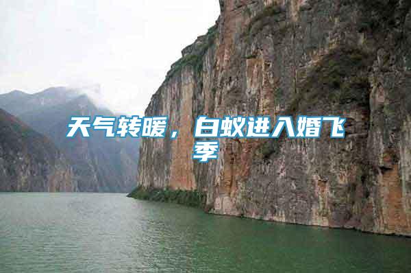 天氣轉(zhuǎn)暖，白蟻進(jìn)入婚飛季