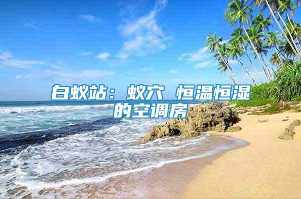 白蟻站：蟻穴 恒溫恒濕的空調(diào)房