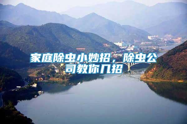 家庭除蟲小妙招，除蟲公司教你幾招