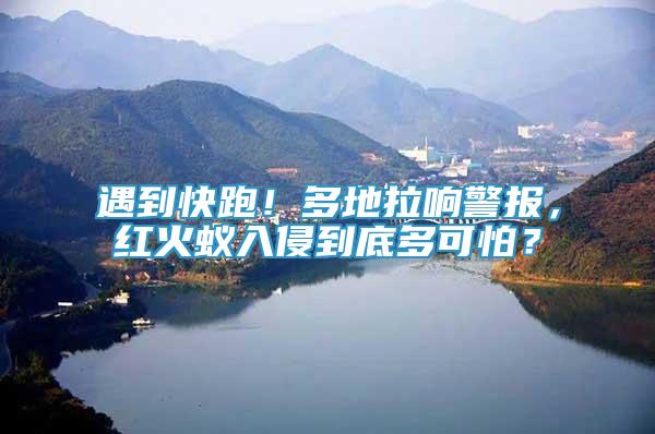 遇到快跑！多地拉響警報(bào)，紅火蟻入侵到底多可怕？