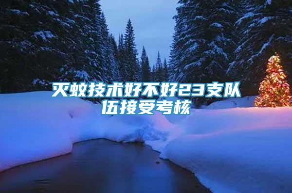 滅蚊技術(shù)好不好23支隊伍接受考核