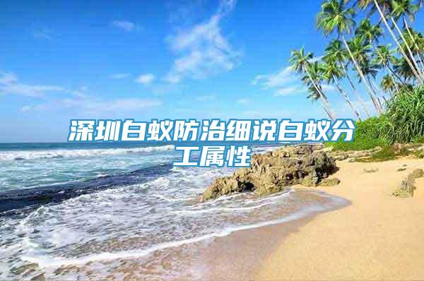 深圳白蟻防治細(xì)說白蟻分工屬性