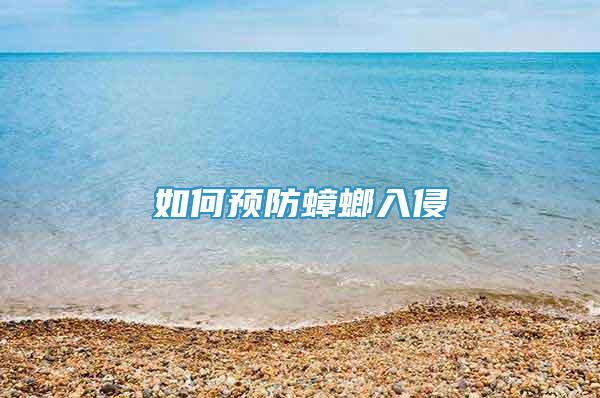 如何預(yù)防蟑螂入侵