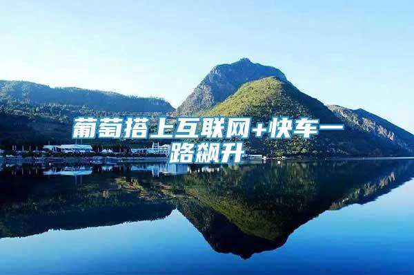 葡萄搭上互聯(lián)網(wǎng)+快車一路飆升