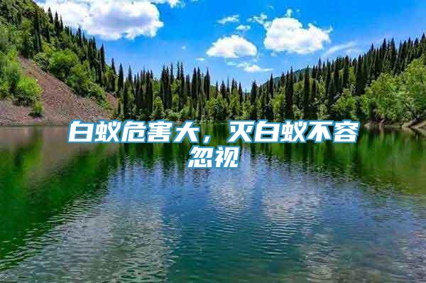 白蟻危害大，滅白蟻不容忽視